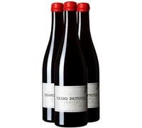 Emporda Camino - Rouge 2023 - Terra Remota - Vin Rouge d'Espagne (3x75cl)