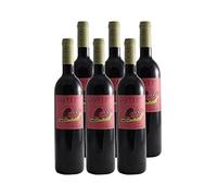 Emporda Negre Saulo - Rouge 2006 - Bodega Espelt - Vin Rouge d'Espagne (6x75cl)