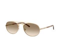 Emporio Armani Homme Sunglass EA2171 - Couleur du Monture: Or pâle mat, Couleur de Lentille: Marron dégradé Jaune