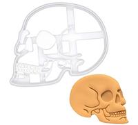 emporte-pièce anatomique crâne humain, 1 pièce