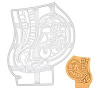 Emporte-pièce Ventre de Femme Enceinte Avec Fœtus Jumeaux (position tête en bas), 1 pièce