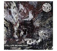 Empress Ad - Still Life Moving Fast [Import]