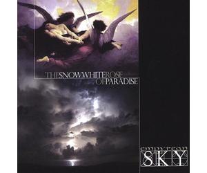 Empyrean Sky - Snow White Rose of Paradise