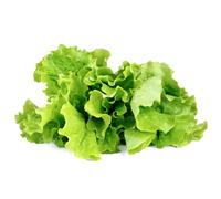 emsa Capsule de substrat CLICK&GROW KOPFSALAT Technologie SMART SOIL, Contient des graines de haute qualité,