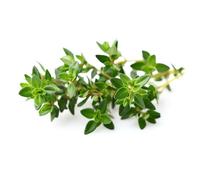 Emsa CLICK & GROW Capsule de substrat, capsule de plantation, capsules de graines, cuisine, herbes aromatiques, thym, lot de 3, M5261100