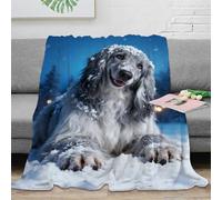 EMYXPAQM Couverture Polaire Flanelle Imprimée Berger Anglais Ancestral, Couverture De Canapé Snowy Bois, Douce Et Chaude Idée Original pour Enfants Et Adultes 60x80inch(150x200cm)