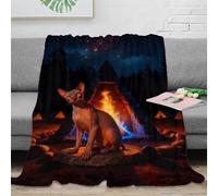 EMYXPAQM Couverture Polaire Flanelle Imprimée Chat Sphynx, Couverture De Canapé Feu de Camp Nébuleuse, Douce Et Chaude Cadeau Unique pour Garçons Et Filles 50x60inch(127x152cm)