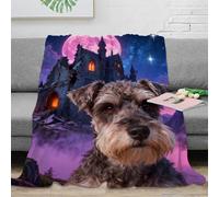 EMYXPAQM Couverture Polaire Flanelle Imprimée Schnauzer, Couverture De Canapé Château Ruines, Douce Et Confortable Cadeau Unique pour Enfants Et Adultes 70x80inch(180x200cm)