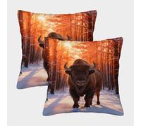 EMYXPAQM Housse Coussin Bison Lot De 2, Microfibre Douce Housse De Coussin De Canapé, Taie d'oreiller Décorative Lavable, pour Lit Chambre Salon Canapé Chaise Voiture, 50x50cm