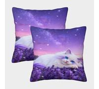 EMYXPAQM Housse Coussin Chat Persan Lot De 2, Microfibre Douce Housse De Coussin De Canapé, Taie d'oreiller Décorative Lavable, pour Canapé Salon Chambre Chaise, 45x45cm