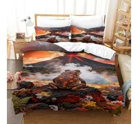 EMYXPAQM Housse De Couette Grenouille Microfibre Ultra Doux Parure De Lit 3D Source Chaude Volcanique avec Fermeture Éclair & Taie d'oreiller pour Adultes Enfants Filles Super King（260x220cm）