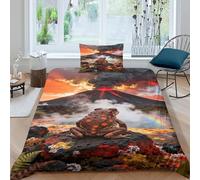 EMYXPAQM Housse De Couette Grenouille Microfibre Ultra Doux Parure De Lit 3D Source Chaude Volcanique avec Fermeture Éclair & Taie d'oreiller pour Adulte Enfant Single（135x200cm）