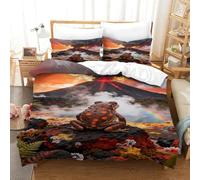 EMYXPAQM Housse De Couette Grenouille Microfibre Ultra Doux Parure De Lit Impression 3D Source Chaude Volcanique avec Fermeture Éclair & Taies d'oreiller pour Adulte Enfant Single（140x200cm）