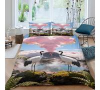 EMYXPAQM Housse De Couette Grue du Japon Microfibre Ultra Doux Parure De Lit 3D Source Chaude Volcanique avec Fermeture Éclair & Taies d'oreiller pour Adultes Enfants Filles King（220x240cm）