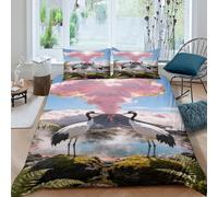 EMYXPAQM Housse De Couette Grue du Japon Microfibre Ultra Doux Parure De Lit Impression 3D Source Chaude Volcanique avec Fermeture Éclair & Taies d'oreiller Cadeau Fête Anniversaire Double（200x200cm）