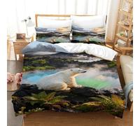 EMYXPAQM Housse De Couette Ours Polaire Microfibre Ultra Doux Parure De Lit 3D Source Chaude Volcanique avec Fermeture Éclair & Taies d'oreiller pour Adultes Enfants Filles Super King（260x220cm）