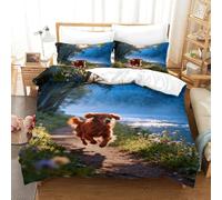 EMYXPAQM Housse De Couette Setter Irlandais Microfibre Ultra-Douce 3D Parure De Lit Imprimé Bois avec Fermeture Éclair & Taies d'oreiller Cadeau Fête Anniversaire Super King（260x220cm）