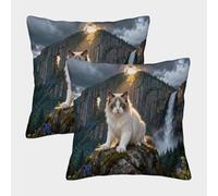 EMYXPAQM Housse De Coussin Chat Ragdoll Lot De 2, Polyester Doux Housses De Coussin De Canapé Décoratif Taie d'oreiller pour Salon Chambre Fauteuil Lit 50x50cm