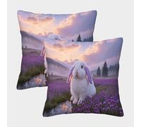 EMYXPAQM Housse De Coussin Lapin Bélier Lot De 2, Microfibre Douce Housses De Coussin De Canapé Taies d'oreiller Carrées pour Canapé Fauteuil Balcon Extérieur 50x50cm