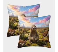 EMYXPAQM Housse De Coussin Paresseux Lot De 2, Polyester Doux Housses De Coussin De Canapé Décoratif Taie d'oreiller pour Salon Chambre Fauteuil Lit 40x40cm