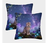 EMYXPAQM Housse De Coussin Scottish Fold Lot De 2, Polyester Doux Housses De Coussin De Canapé Décoratif Taie d'oreiller pour Salon Chambre Fauteuil Lit 40x40cm