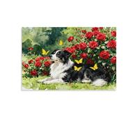 EMYXPAQM Tableau Sur Toile Berger Australien Tableau Decoration Murale Salon Moderne Buisson Fleuri Peinture Sur Toile Déco Maison Pour Salon Chambre Cuisine Idée Cadeau 16x24inch(40x60cm)