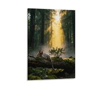 EMYXPAQM Tableau Sur Toile Chat Sphynx Tableau Decoration Murale Salon Sunny Bois Peinture Sur Toile Maison Décorations Pour Cuisine, Salon, Chambre Adulte Idée Cadeau 12x18inch(30x45cm)