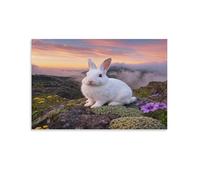 EMYXPAQM Tableau Sur Toile Lapin Blanc Impression Sur Toile Tableau Décoratif Moderne Alpine Mousse Déco Maison Pour Salle De Bain Bureau Cuisine 12x18inch(30x45cm)