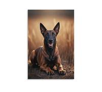 EMYXPAQM Tableau Sur Toile Malinois Belge Tableau Decoration Murale Salon Prairie Image Sur Toile Déco Maison Pour Cuisine, Salon, Chambre Idée Cadeau 08x12inch(20x30cm)
