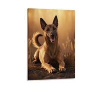EMYXPAQM Tableau Sur Toile Malinois Belge Tableau Decoration Murale Salon Prairie Jaune Image Sur Toile Déco Maison Pour Chambre À Coucher Salon Entrée Cadeau Original 12x18inch(30x45cm)