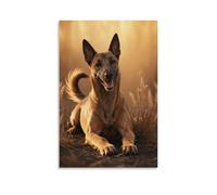EMYXPAQM Tableau Sur Toile Malinois Belge Tableau Decoration Murale Salon Prairie Jaune Peinture Sur Toile Maison Décorations Pour Maison Bain Salon Chambre Cadeau Original 16x24inch(40x60cm)