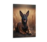 EMYXPAQM Tableau Sur Toile Malinois Belge Tableau Decoration Murale Salon Prairie Peinture Sur Toile Déco Maison Pour Salle De Bain Bureau Cuisine Cadeau Original 20x30inch(50x75cm)