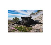 EMYXPAQM Tableau Sur Toile Panthère Noire Impression Sur Toile Tableau Décoratif Moderne Précipice Maison Décorations Pour Maison Bain Salon Chambre 20x30inch(50x75cm)