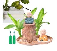 en bois brésilien, en bois porte-bonheur avec 2 statues de moines, hydroponique en bois brésilien, avec solution nutritive, facile à