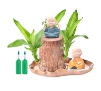 en bois du Brésil, hydroponique d'intérieur, verdure purifiante d'air de 15 cm avec 2 statues de moines, solution nutritive, décoration d'intérieur inspirée du zen pour salon, cuisine