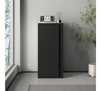 [en.casa] Armoire Métallique Meuble de Classement avec 1 Porte et 2 Étagères à Hauteur Réglable Classeur Rangement au Style Industriel pour Bureau Chambre Télétravail Acier 88 x 40 x 35 cm Noir