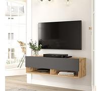[en.casa] Meuble TV à Porte Meuble de Rangement Design pour Salon avec 2 Espaces de Stockage Panneau de Particules Mélaminé 30 x 100 x 32 cm Effet Chêne Rustique Anthracite