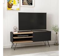[en.casa] Meuble TV de Salon à Porte Support Banc Télé avec 2 Étagères Compartiment Fermé Panneau de Particules Métal 50 x 124 x 37 cm Noir Effet Bois