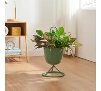 [en.casa] Porte-Plantes Style Intemporel avec Cache-Pot Support de Plantes pour Intérieur Bac à Fleurs pour Salon Chambre Métal 48 x 23 cm Vert