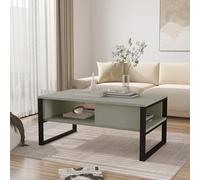 [en.casa] Table Basse de Salon Stylée au Design Moderne et Intemporel avec 2 Compartiments Intérieurs Stable Robuste Plateau Rectangulaire Métal Panneau de Particules 100 x 60 x 45 cm Gris Vert