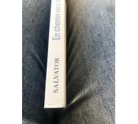 En chemin vers le Mont-Saint-Michel