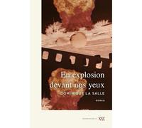 En explosion devant nos yeux - LA SALLE DOMINIQUE - Xyz Editions - broché - Roman