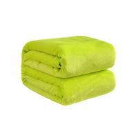 En Flanelle Couverture Literie, Couvre-lit Queen Size, Couverture Queen Et De Chaleur Douce Et Lainé Super Moelleuse, Couverture En Microfibre Solide. (Vert,120 x 200 cm?0.8 kg)