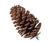en Forme de Pomme de pin pour Oiseau | Jouet à mâcher en Bois | Perchoir en Pomme de pin Naturel conçu pour picorer, mâcher et se Reposer confortablement | Lieu d'activité idéal pour perruches