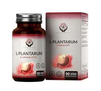 EN Lactobacillus Plantarum | 90 Capsules L-Plantarum à Haute Teneur - 5 Milliards CFU de Probiotiques Lactobacillus par portion | Sans OGM ni Gluten ou Allergènes | Fabriqué au Royaume-Uni
