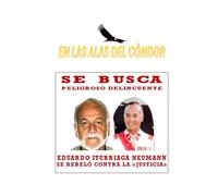En las Alas del Cóndor