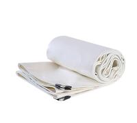 En PVC 2 m x 3 m 3 m x 4 m 4 m x 5 m Telo Resistente di buona qualità avec Occhielli in, teloni Bianchi per Campeggio all'aperto, Copertura per Piscina (2 x 4 m (6,5 Piedi x 13,1