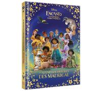 ENCANTO, LA FANTASTIQUE FAMILLE MADRIGAL - Les Nouvelles Histoires des Madrigal - Walt Disney - Hachette Disney - cartonné - Album jeunesse