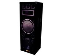 Enceinte acoustique trois voies double 2 x 12 600w
