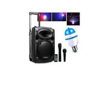 Enceinte Active DJ 500W USB/MP3 IBIZA PORT10VHF-BT + Ampoule mini Diams RVB SONO DJ PA FETE SOIREE